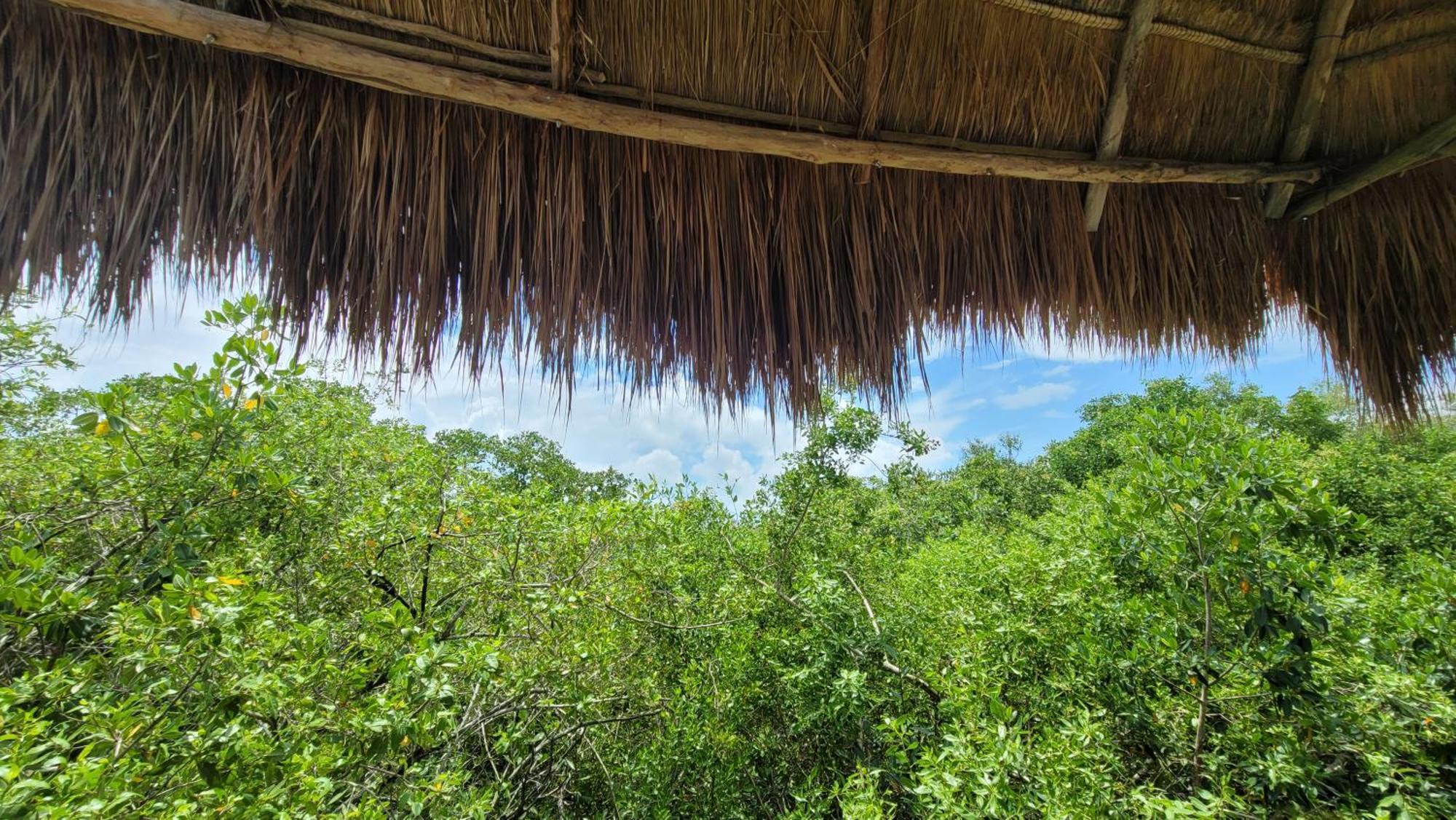 Hotel Cormoran Tulum & Cenote Exterior foto